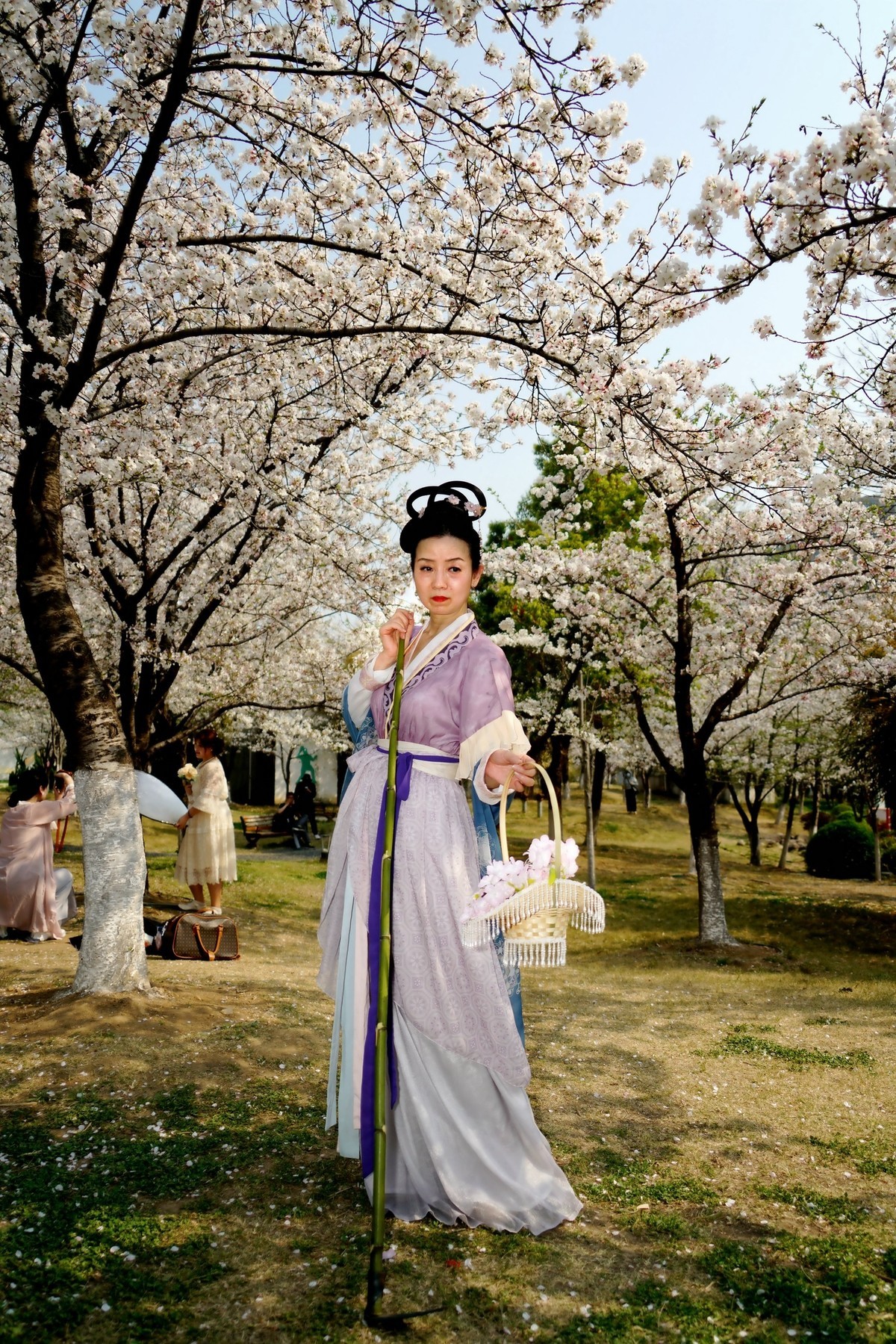 环境人像---樱花树下！