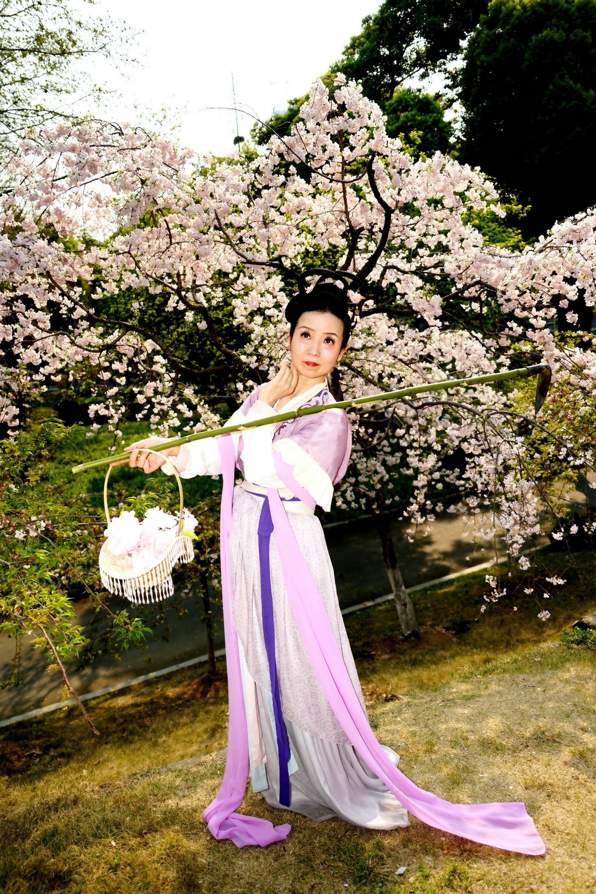 环境人像---樱花树下！