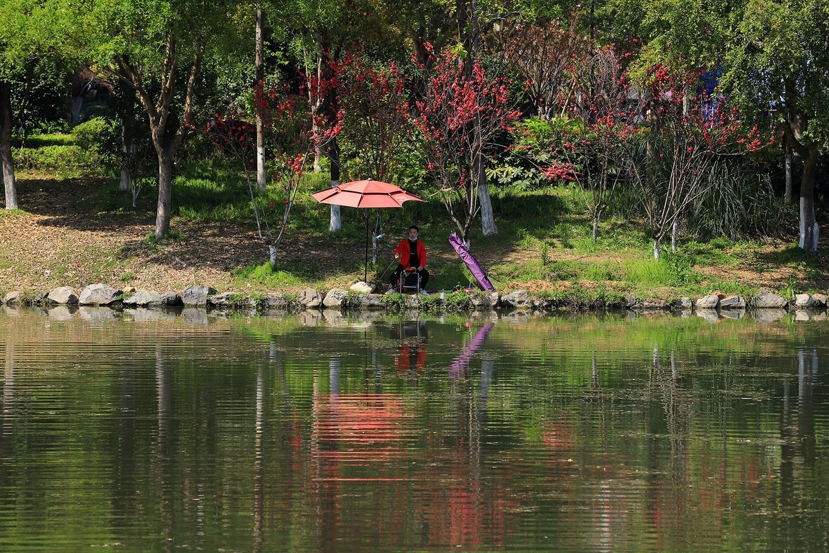 寿光九山图片