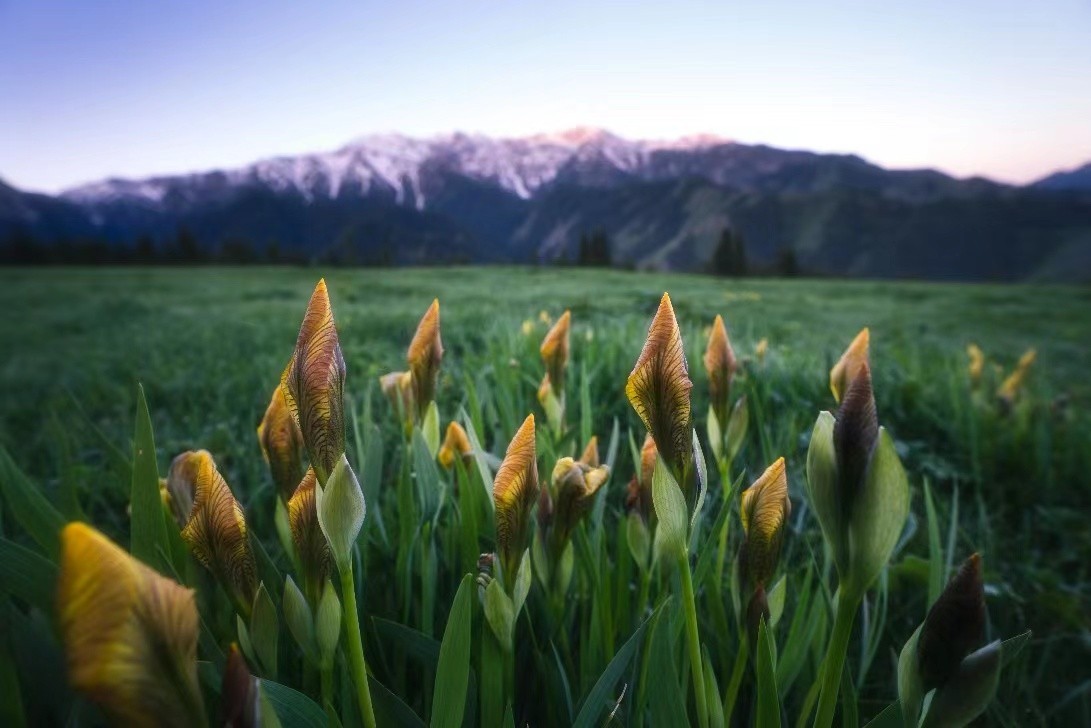 适马16-28mm F2.8 DG DN轻装上阵，捕捉自由之风