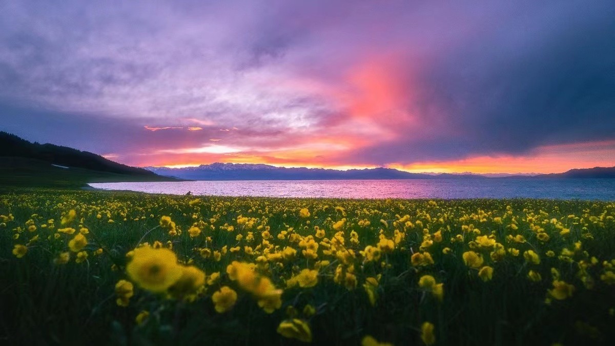 适马16-28mm F2.8 DG DN轻装上阵，捕捉自由之风