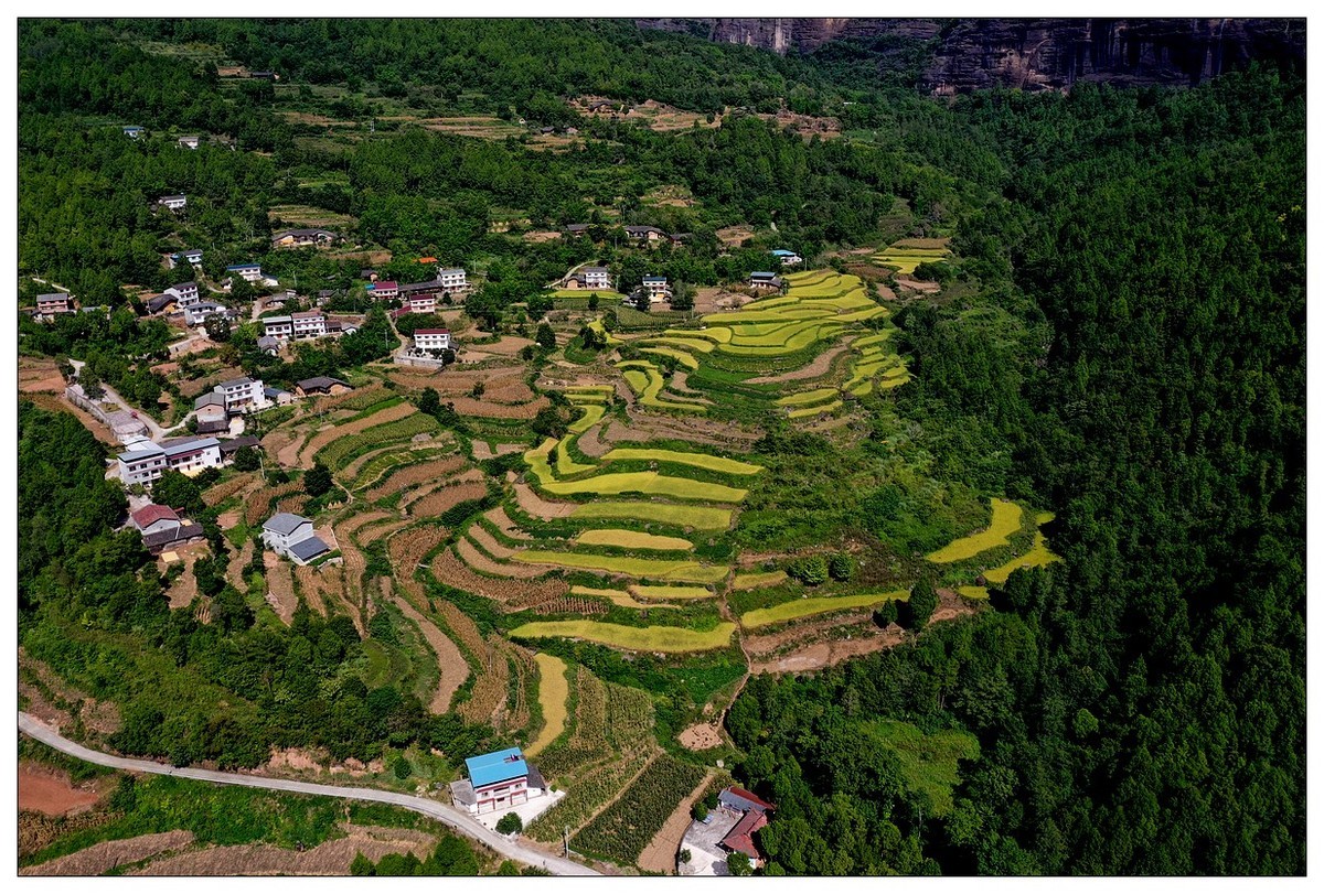 家在好山好水中