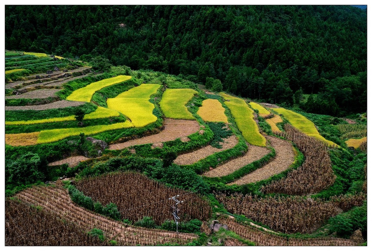 家在好山好水中