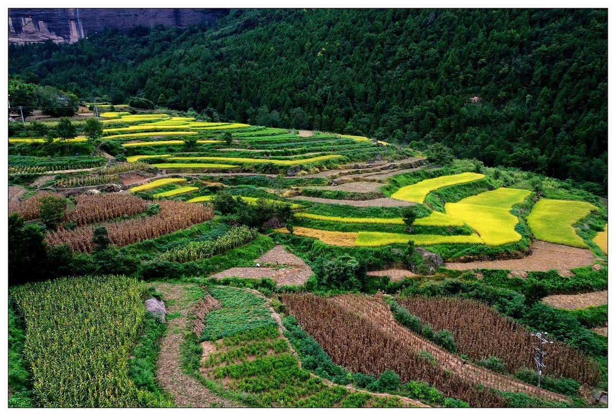 家在好山好水中