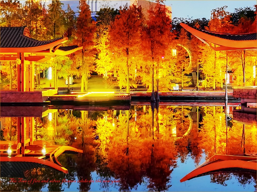 火树银花贺新年