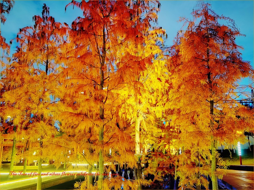 火树银花贺新年