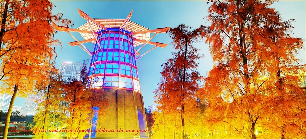 火树银花贺新年