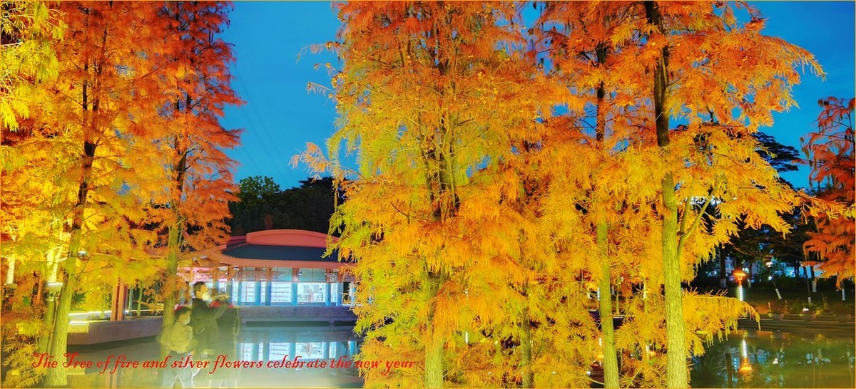 火树银花贺新年