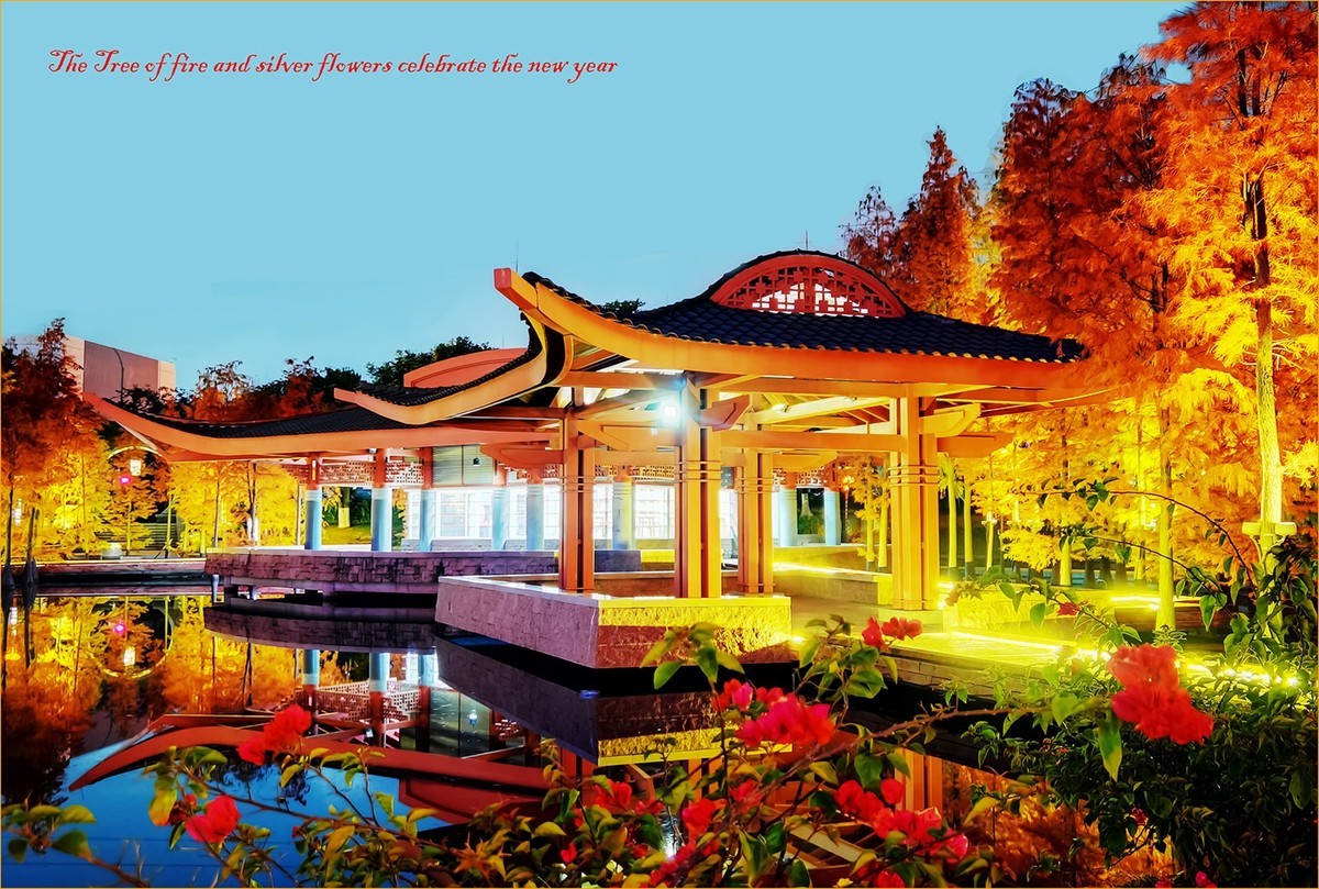 火树银花贺新年