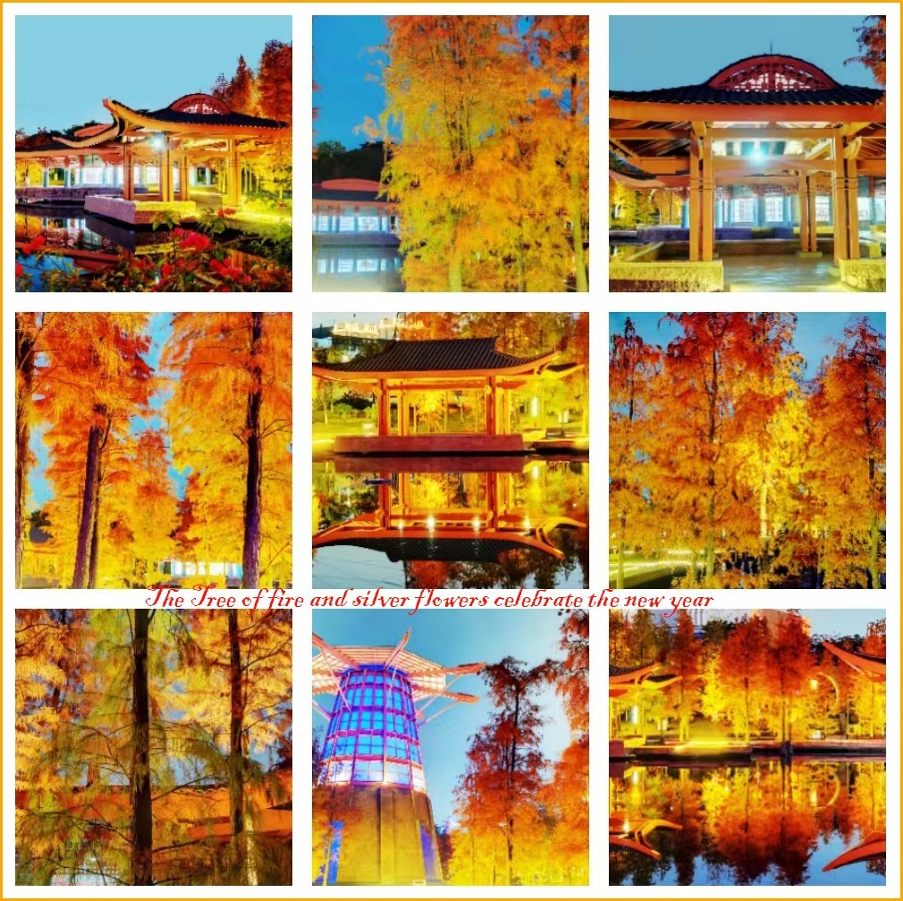 火树银花贺新年