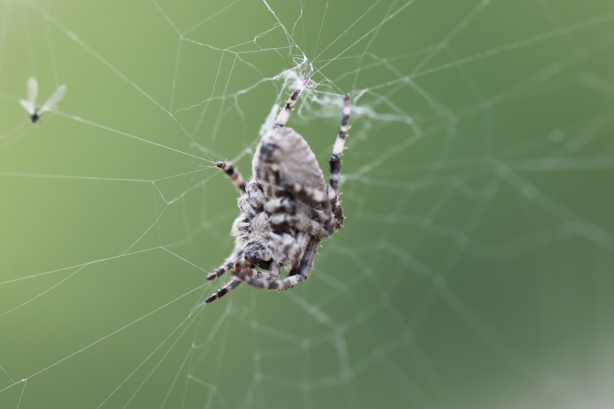 机子玩对了就好