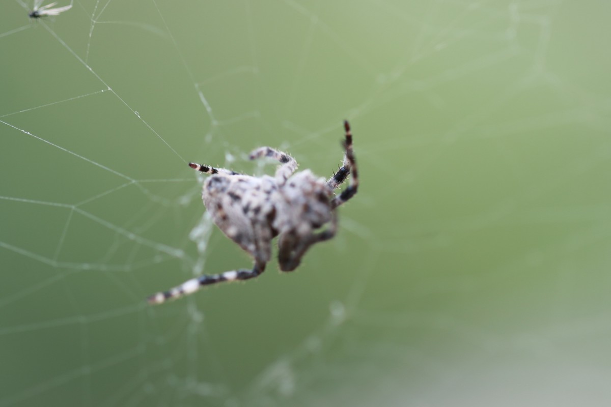 机子玩对了就好