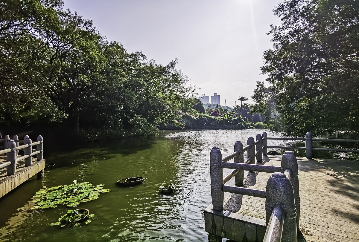 深圳东湖公园～ 掠影