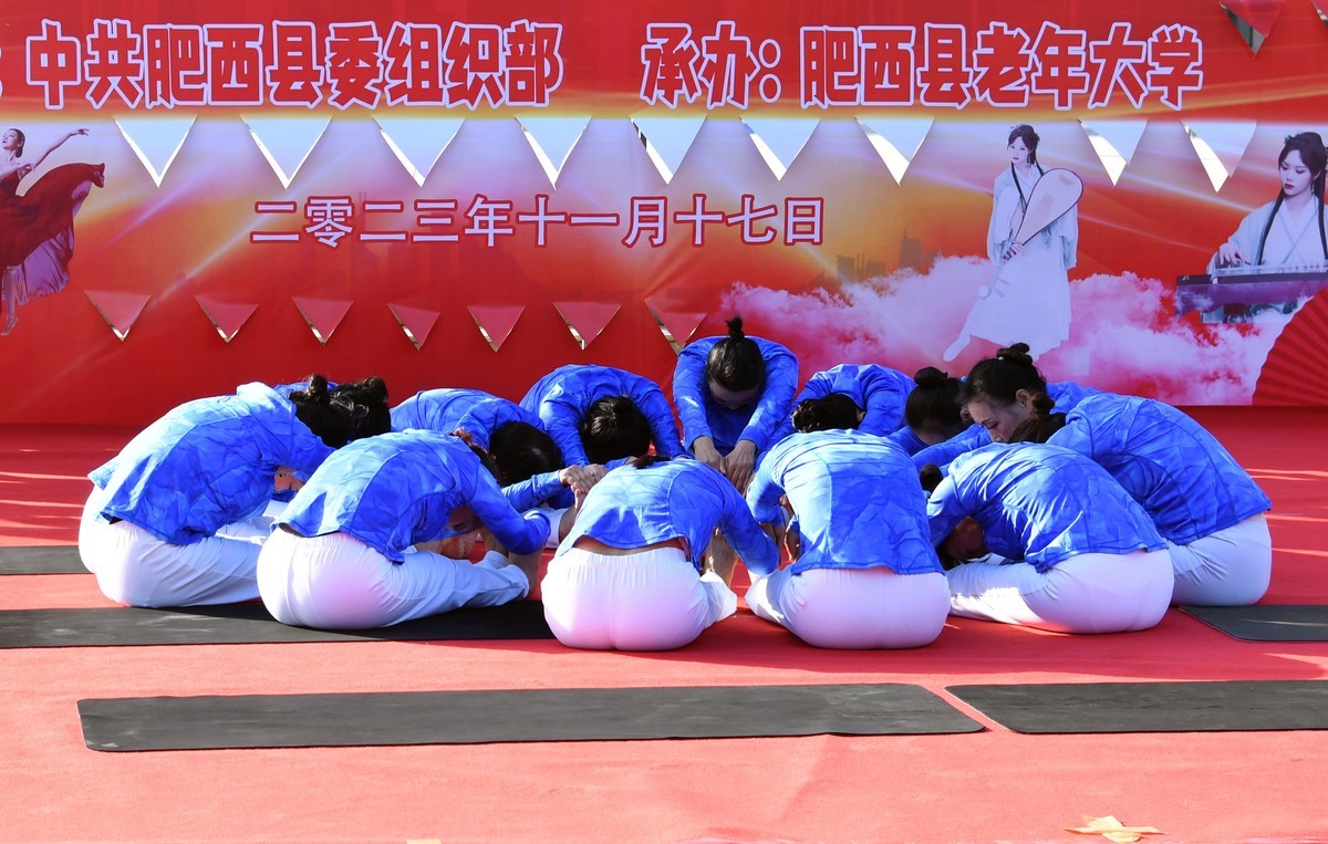 瑜伽功/县老年大学 老有所学成果展演