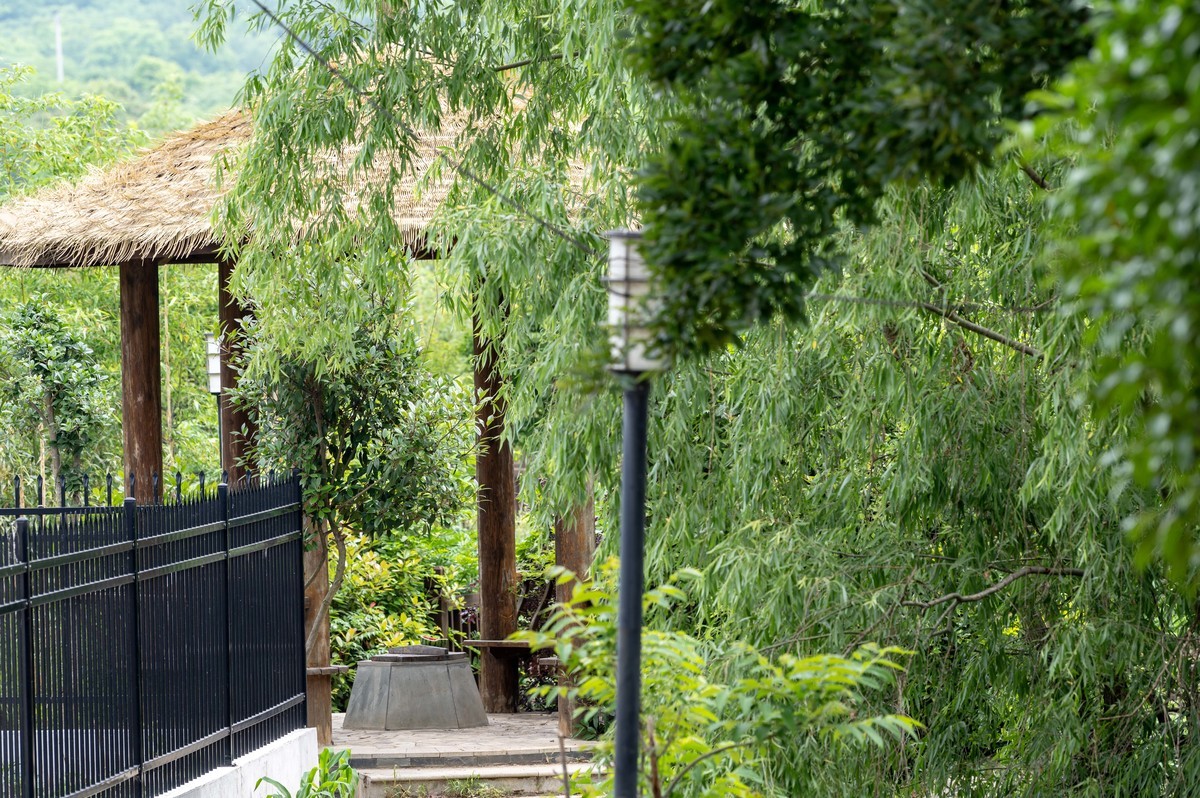 庐州印象（342）