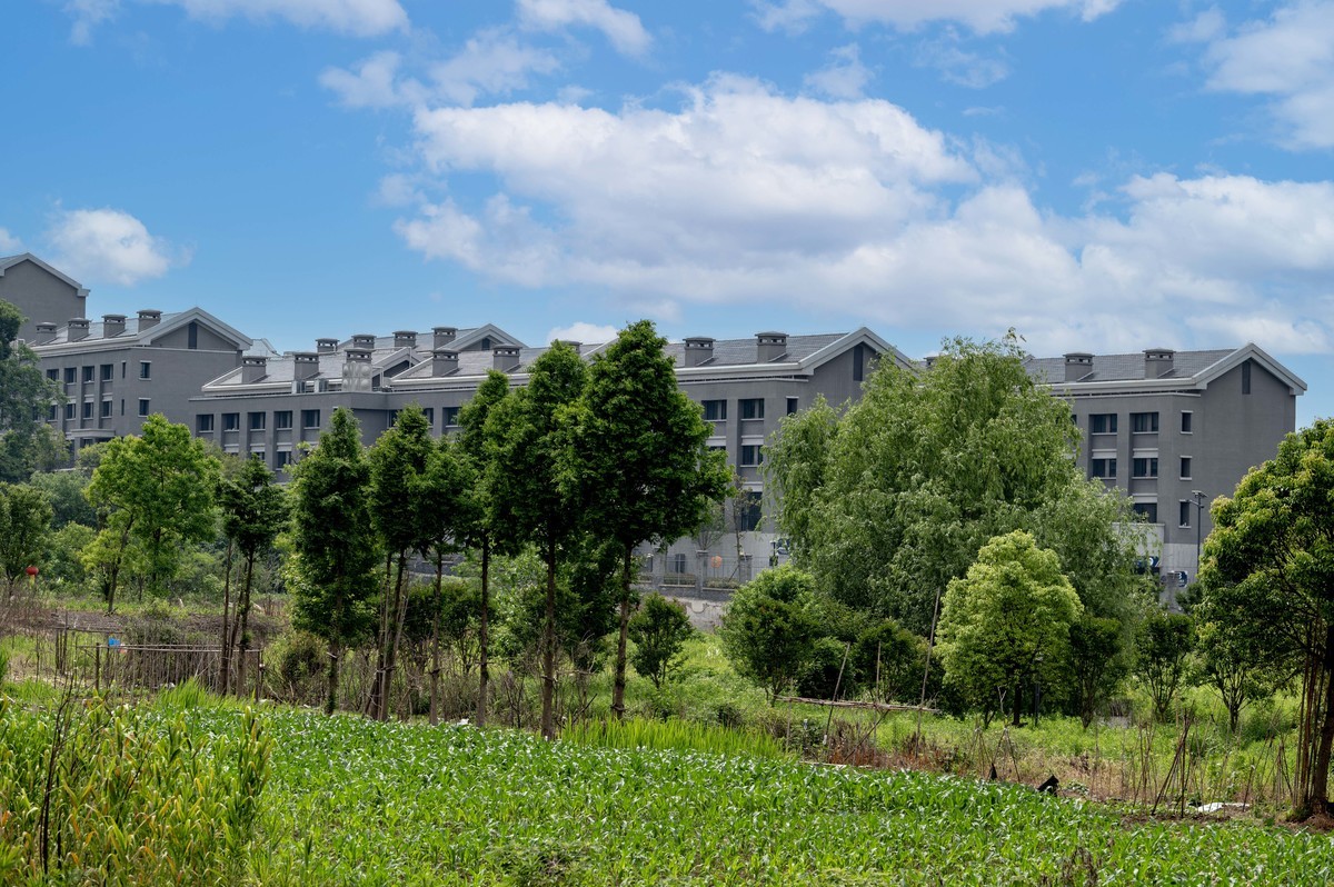 庐州印象（342）