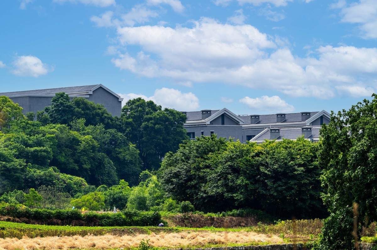 庐州印象（341）