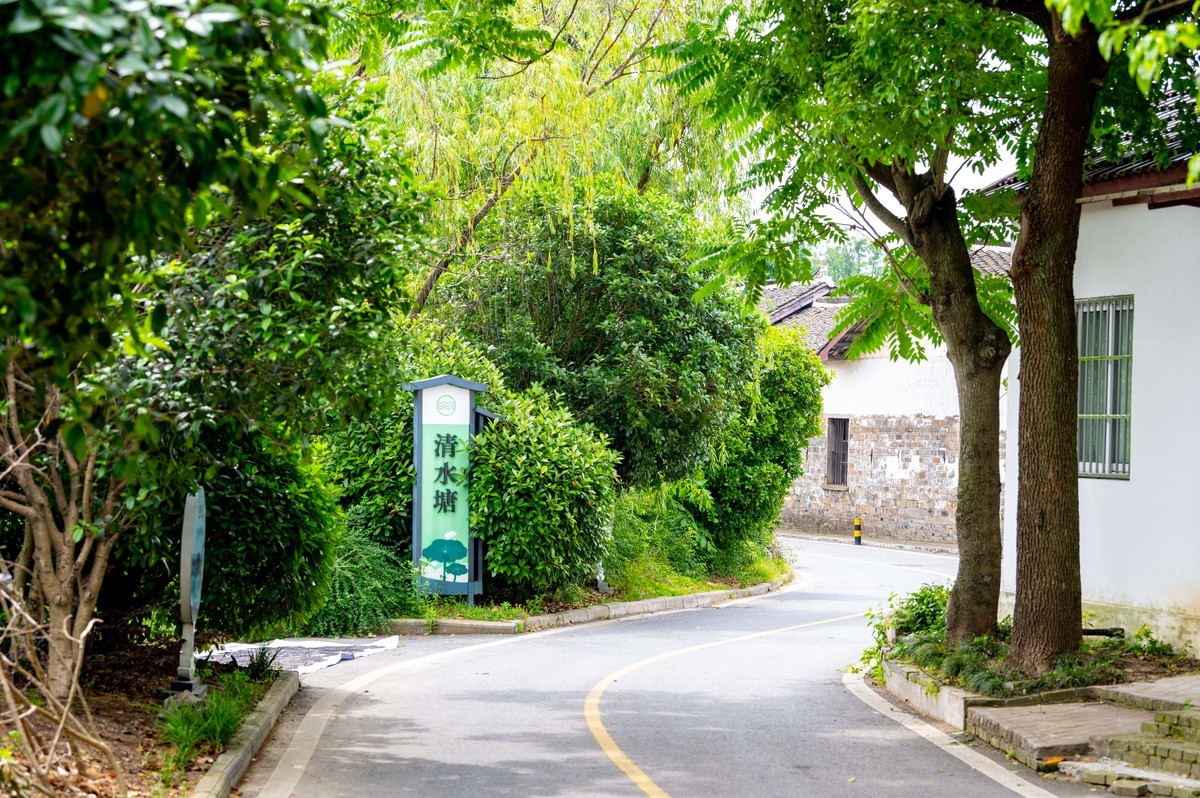 庐州印象（341）