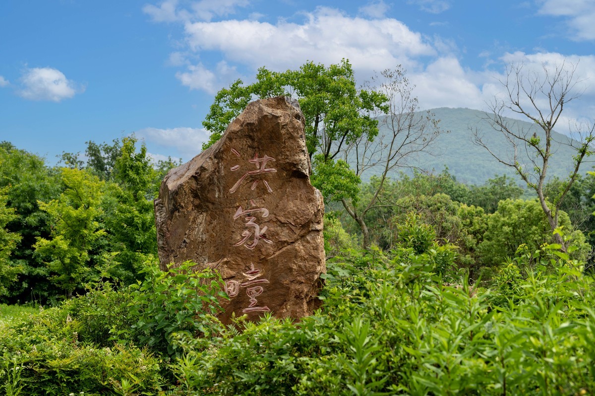 庐州印象（341）