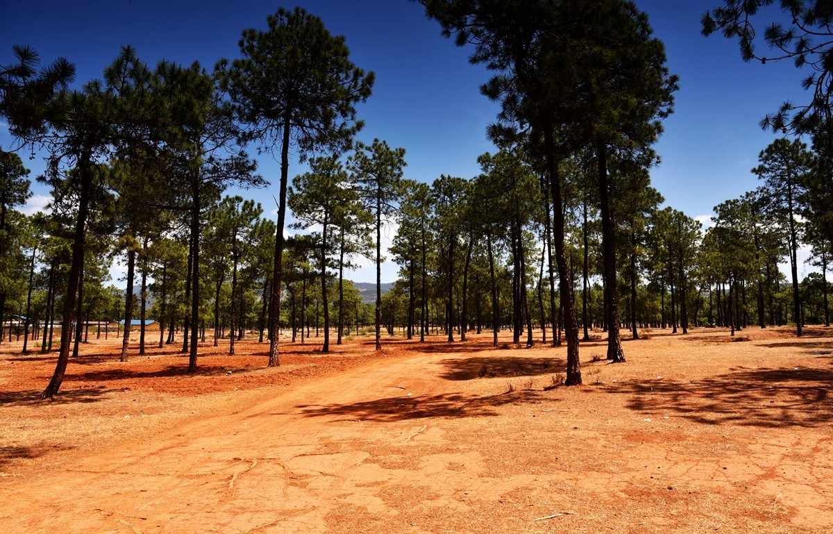 四川盐源红土地【2】