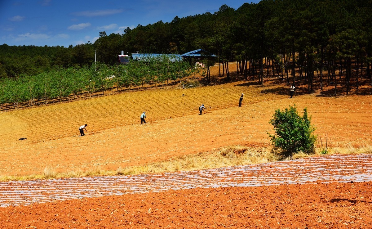 四川盐源红土地【2】