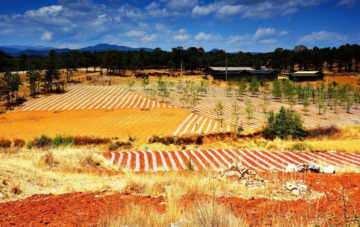 四川盐源红土地【2】