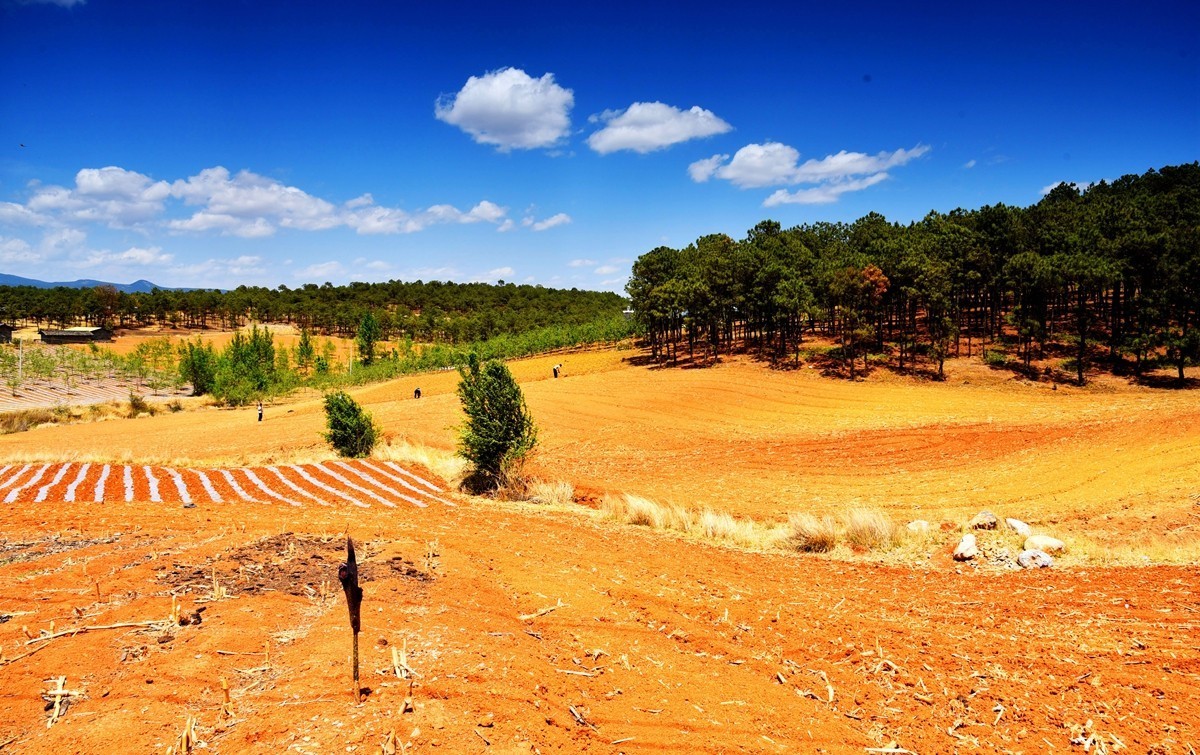 四川盐源红土地【2】