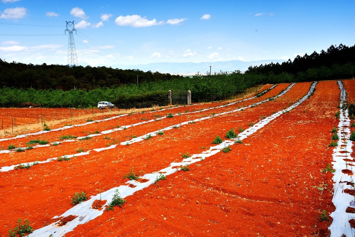 四川盐源红土地【2】