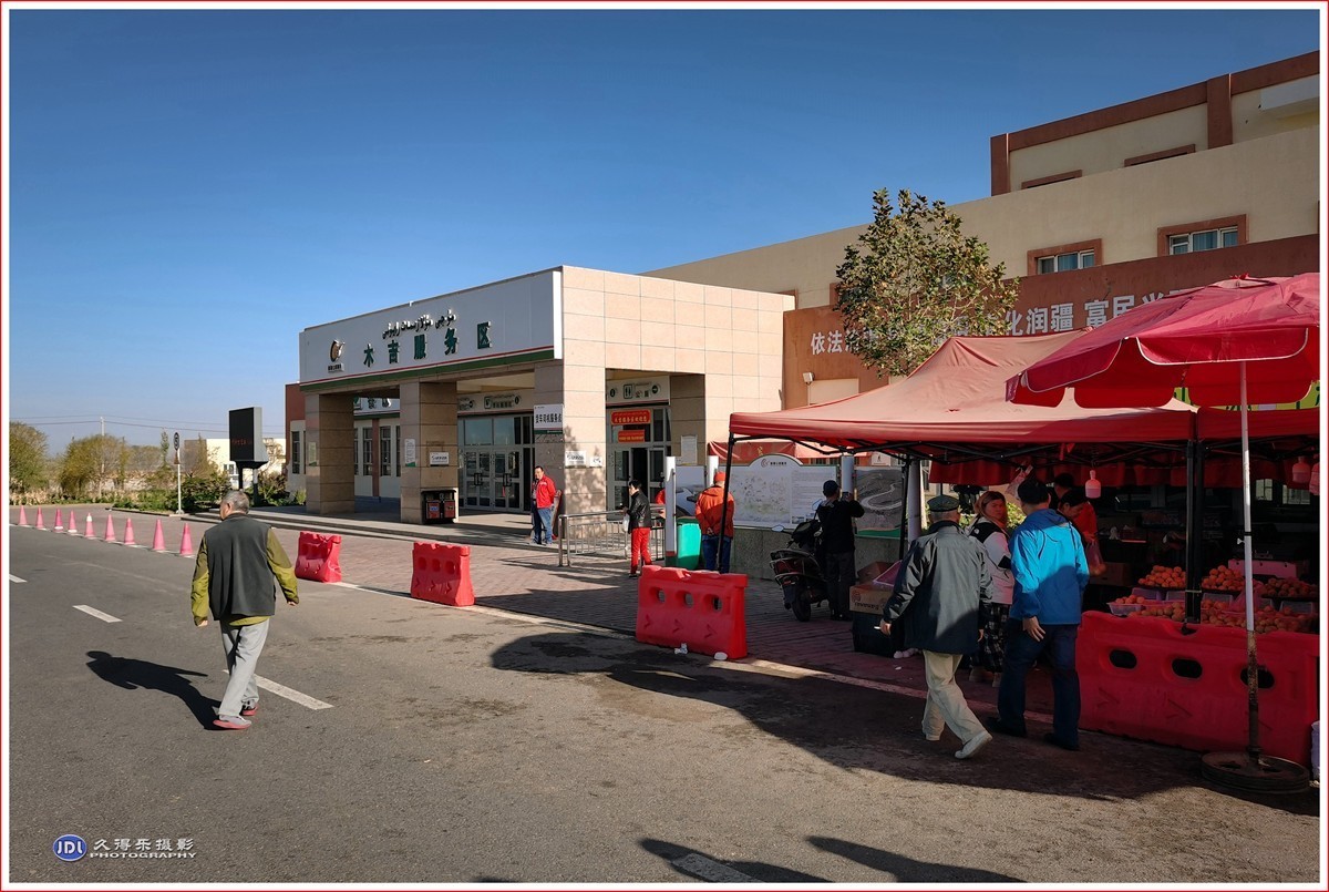 2024-（210）泽普金胡杨林公园（六）