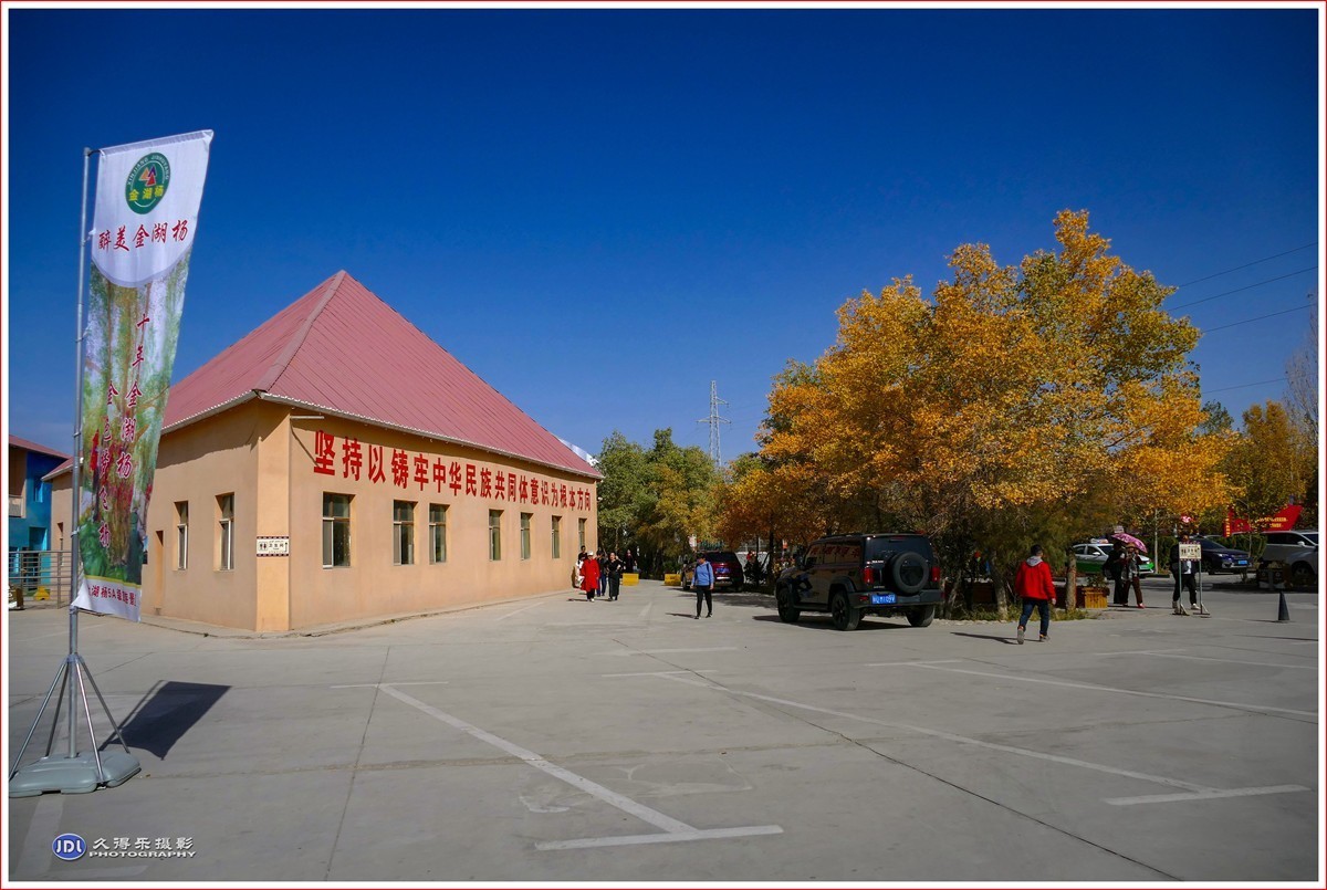 2024-（210）泽普金胡杨林公园（六）