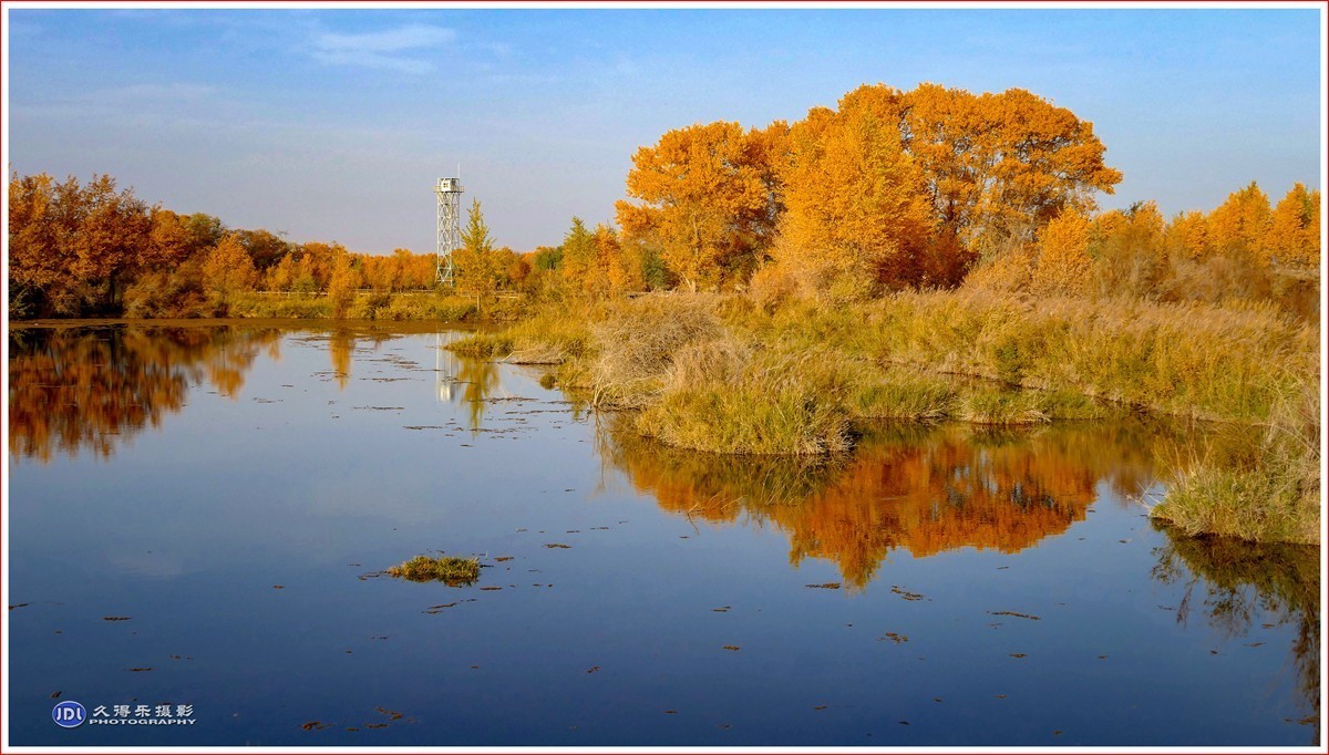 2024-（210）泽普金胡杨林公园（六）