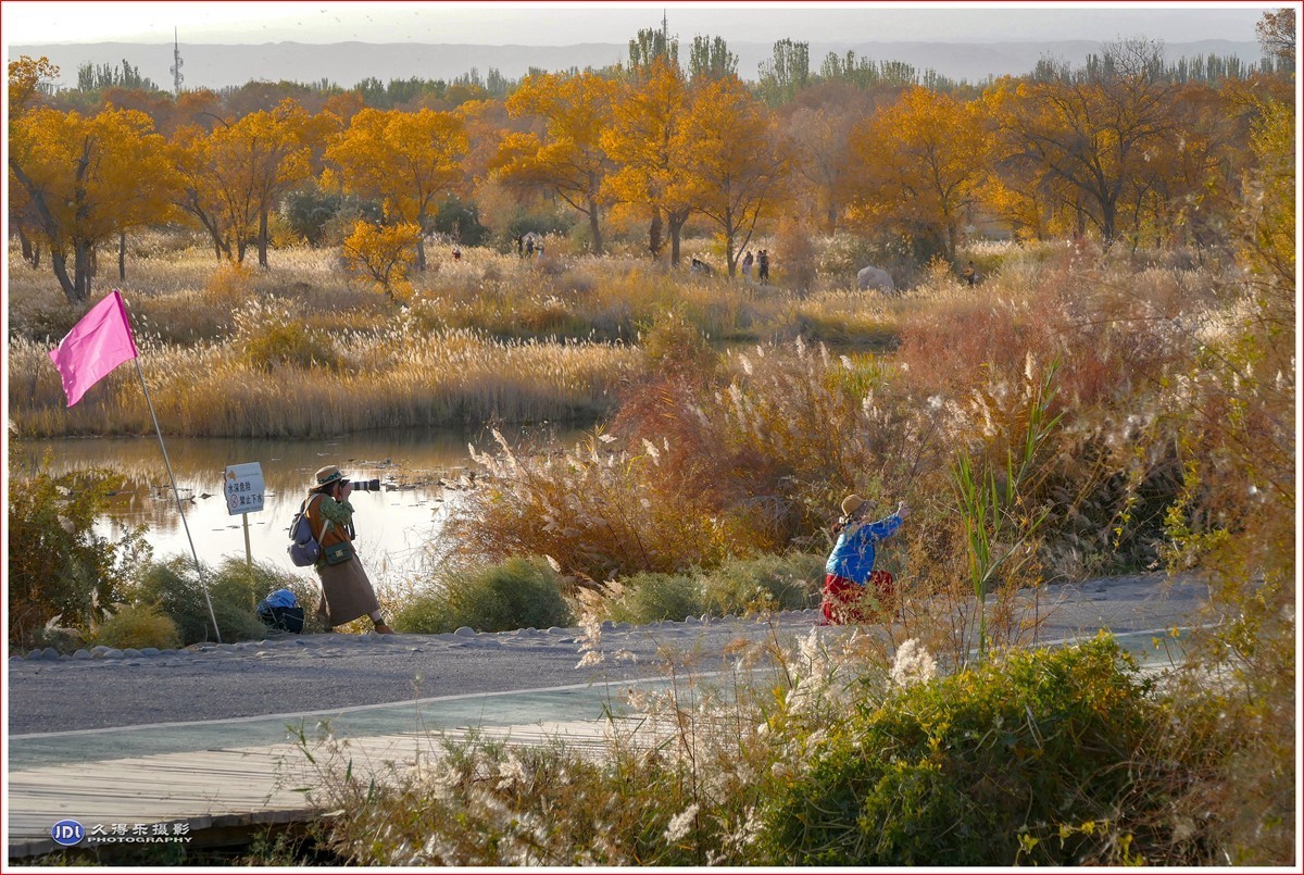 2024-（210）泽普金胡杨林公园（六）