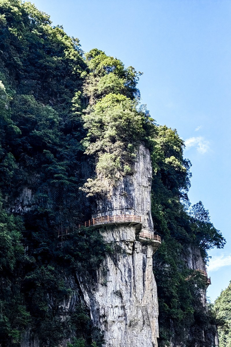 外出随拍（续156）.