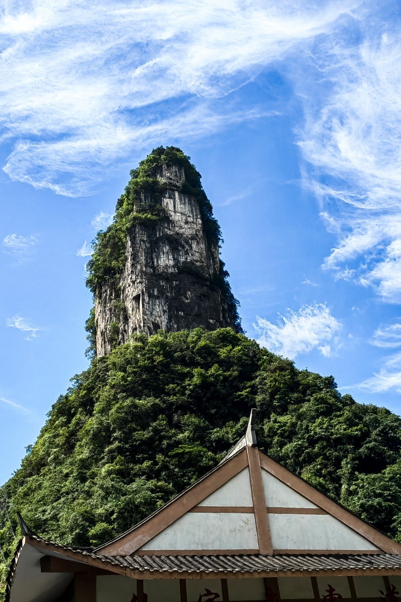 外出随拍（续156）.