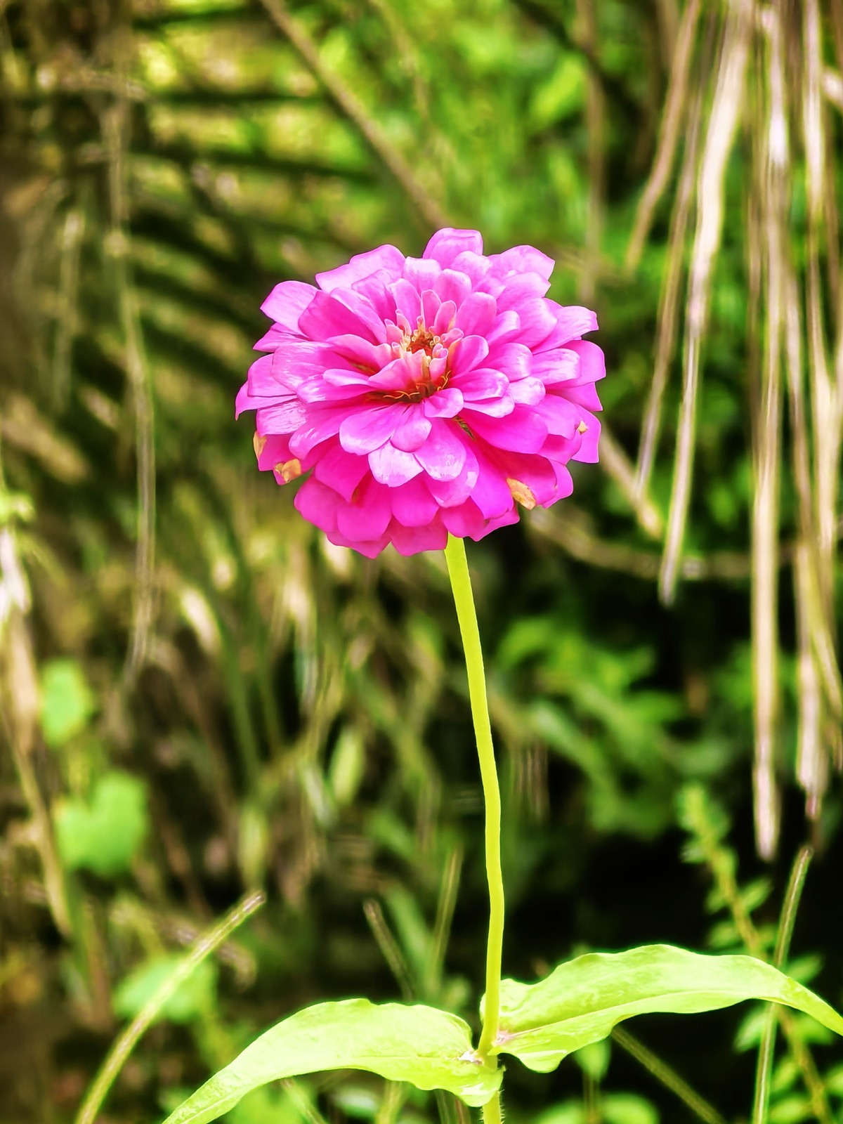 皖南宁国阿勒泰（皖南川藏线）---真也天镜的初秋二华为PURE 70 ULTRE直出）