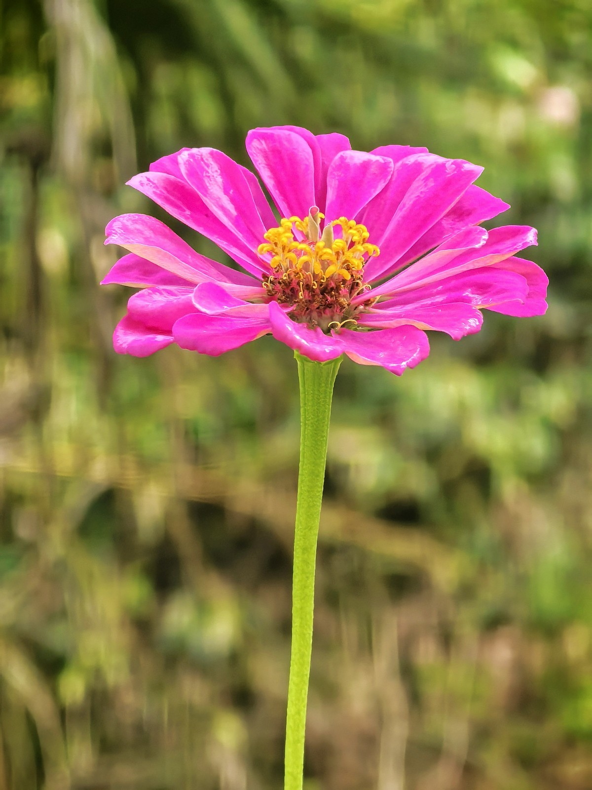 皖南宁国阿勒泰（皖南川藏线）---真也天镜的初秋二华为PURE 70 ULTRE直出）