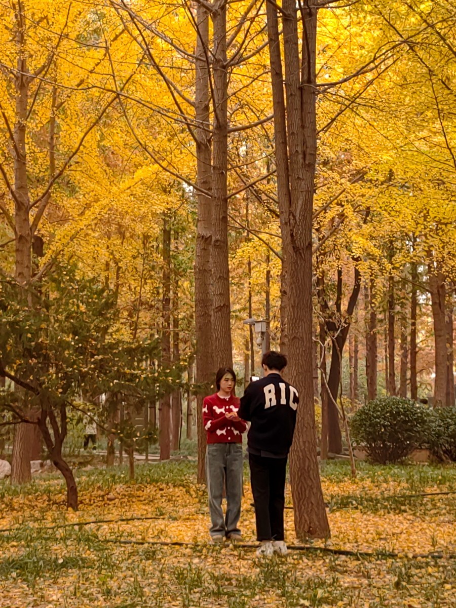 外出随拍（续213）.