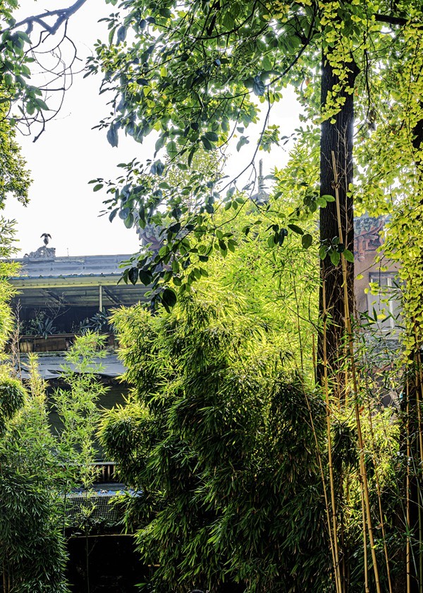 四川成都--崇州--罨画池秋色【10】