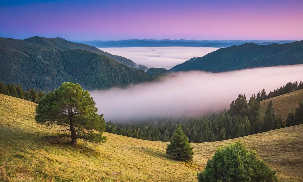 令人心动的瞬间