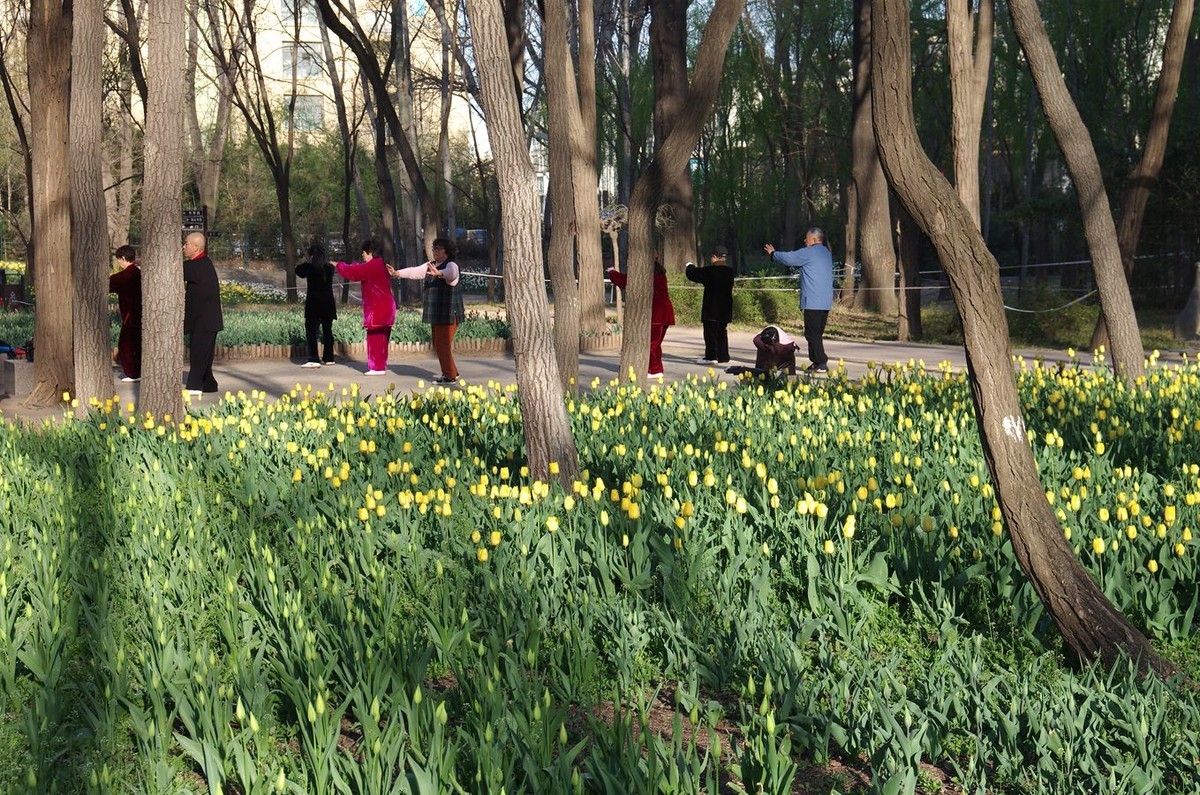 清晨植物园掠影