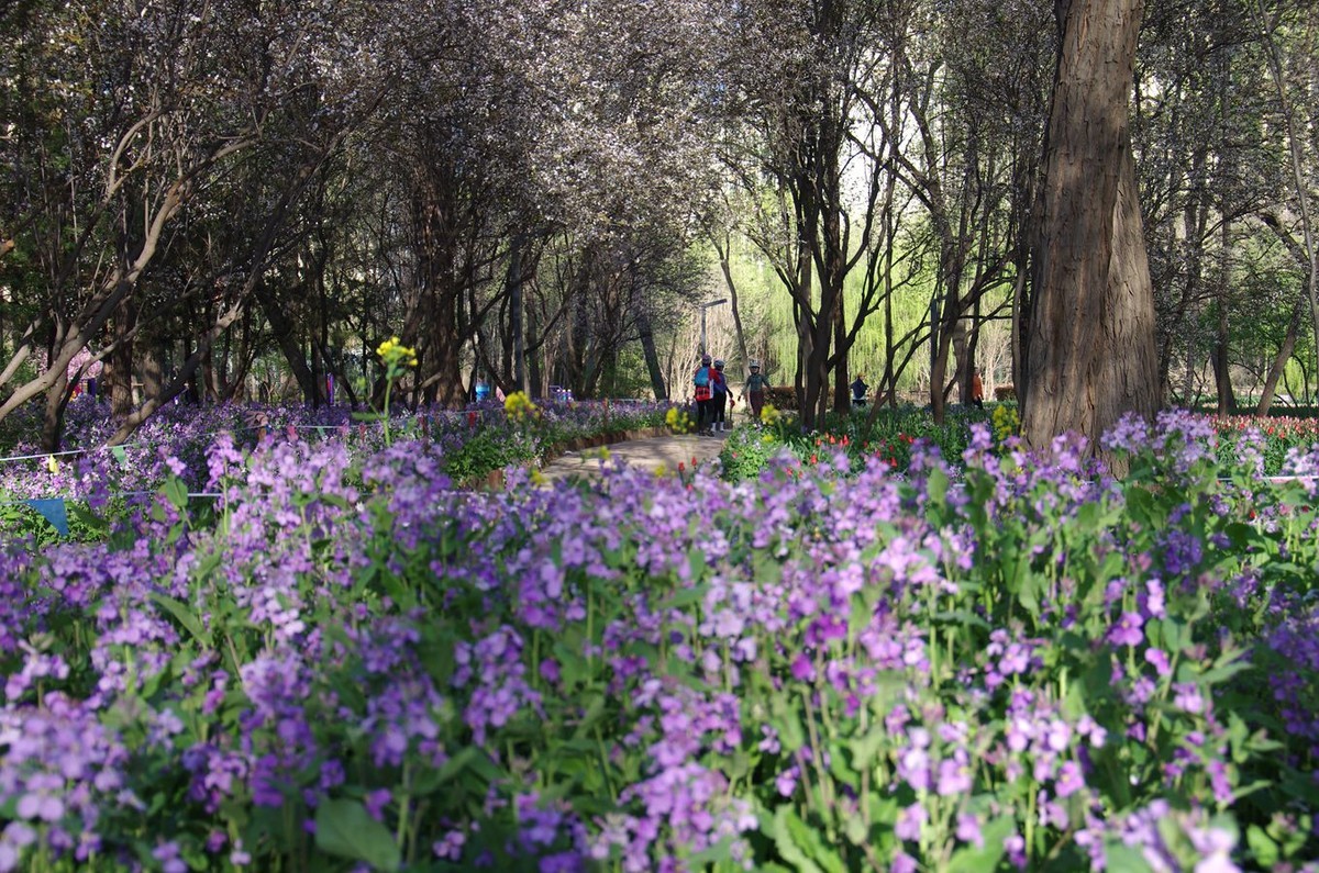 清晨植物园掠影