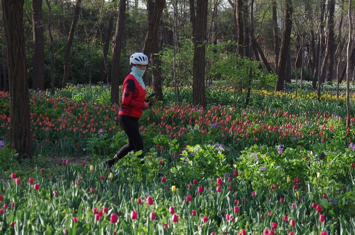 清晨植物园掠影