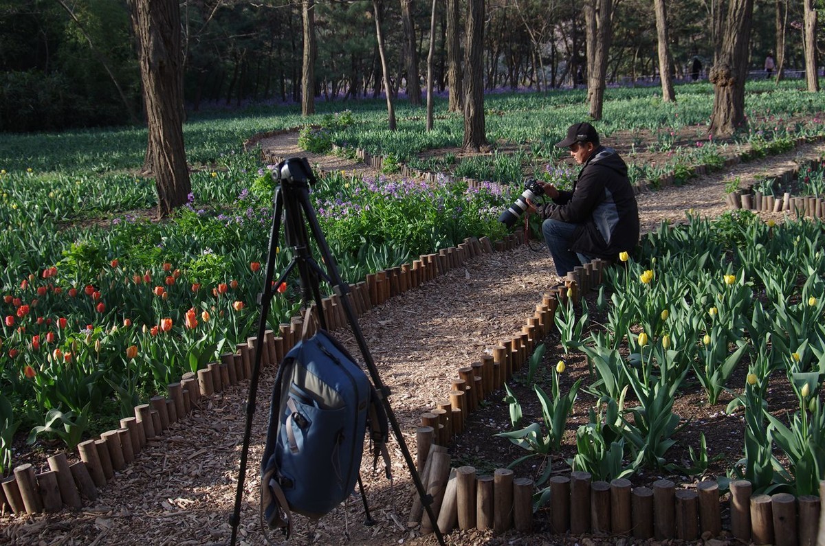清晨植物园掠影