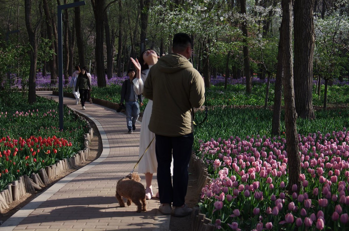清晨植物园掠影