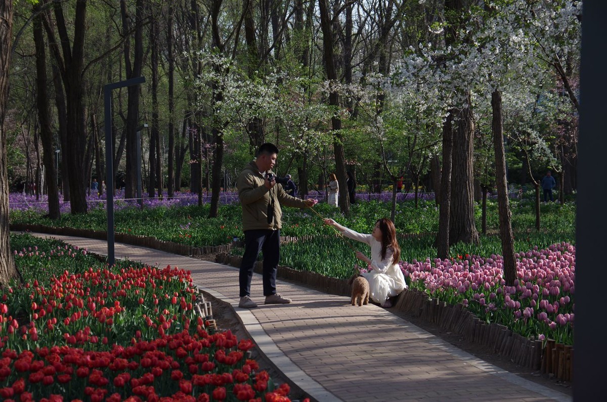 清晨植物园掠影