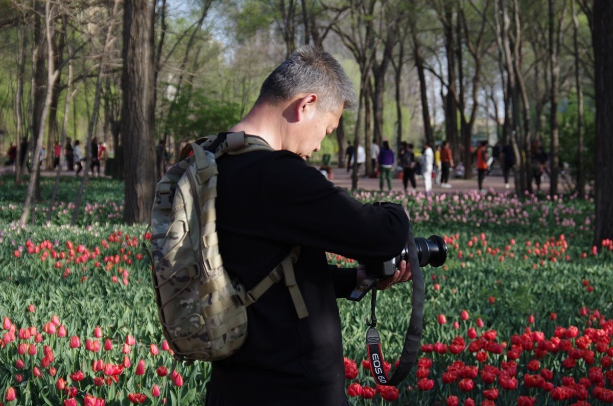 清晨植物园掠影