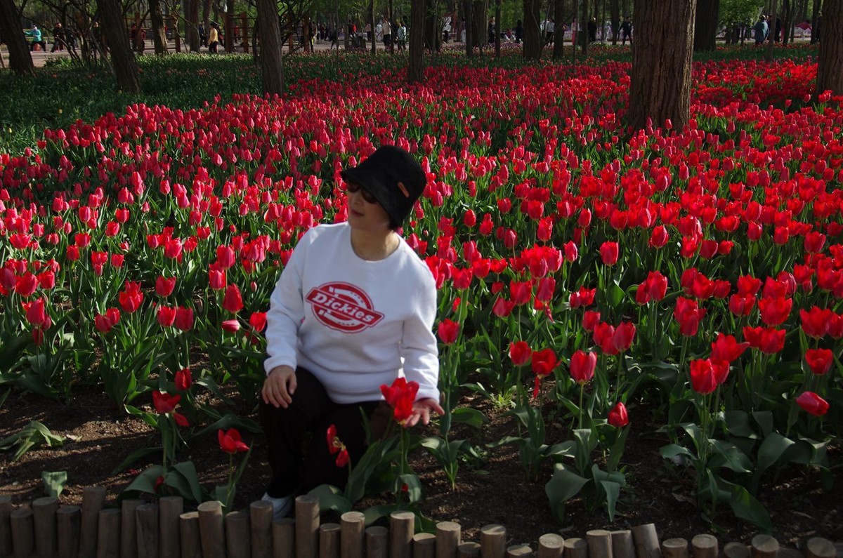 清晨植物园掠影
