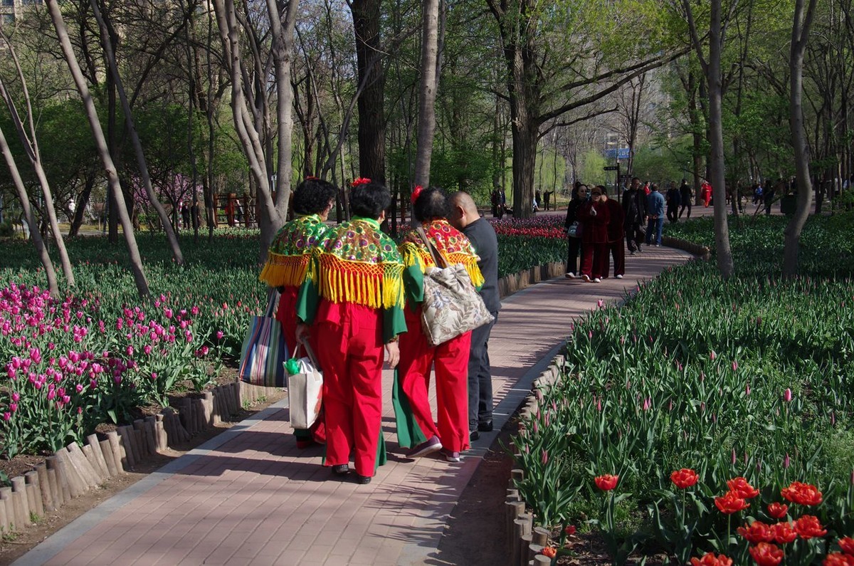 清晨植物园掠影
