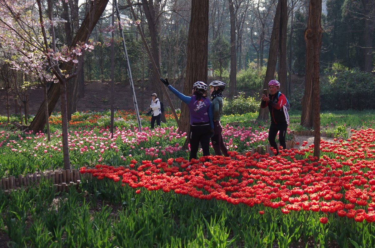 清晨植物园掠影