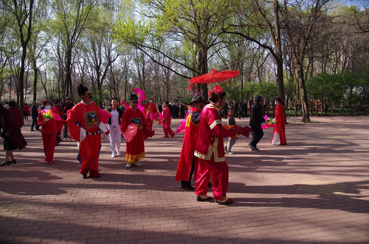 清晨植物园掠影